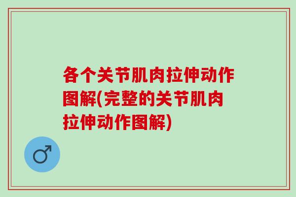 各个关节肌肉拉伸动作图解(完整的关节肌肉拉伸动作图解)
