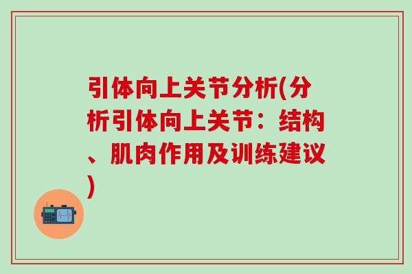 引体向上关节分析(分析引体向上关节：结构、肌肉作用及训练建议)