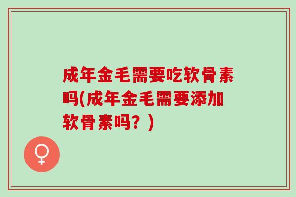 成年金毛需要吃软骨素吗(成年金毛需要添加软骨素吗？)