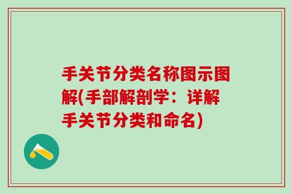 手关节分类名称图示图解(手部解剖学：详解手关节分类和命名)