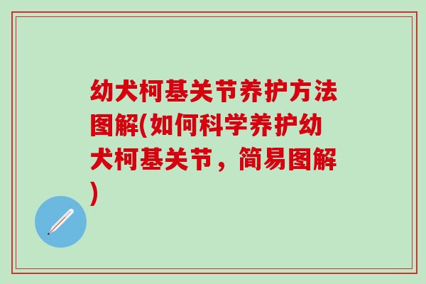 幼犬柯基关节养护方法图解(如何科学养护幼犬柯基关节，简易图解)