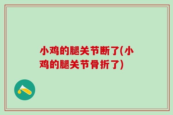 小鸡的腿关节断了(小鸡的腿关节骨折了)