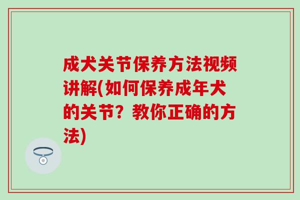成犬关节保养方法视频讲解(如何保养成年犬的关节？教你正确的方法)