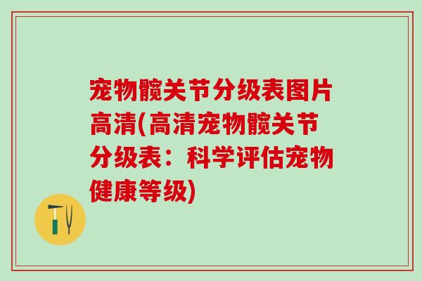 宠物髋关节分级表图片高清(高清宠物髋关节分级表：科学评估宠物健康等级)