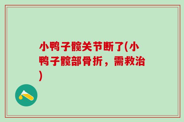小鸭子髋关节断了(小鸭子髋部骨折，需救治)