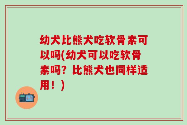 幼犬比熊犬吃软骨素可以吗(幼犬可以吃软骨素吗？比熊犬也同样适用！)