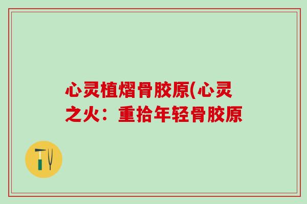心灵植熠骨胶原(心灵之火:重拾年轻骨胶原 心灵植熠骨胶原(心灵之火:重拾年轻骨胶原