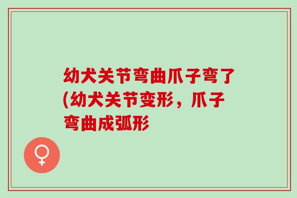 幼犬关节弯曲爪子弯了(幼犬关节变形，爪子弯曲成弧形