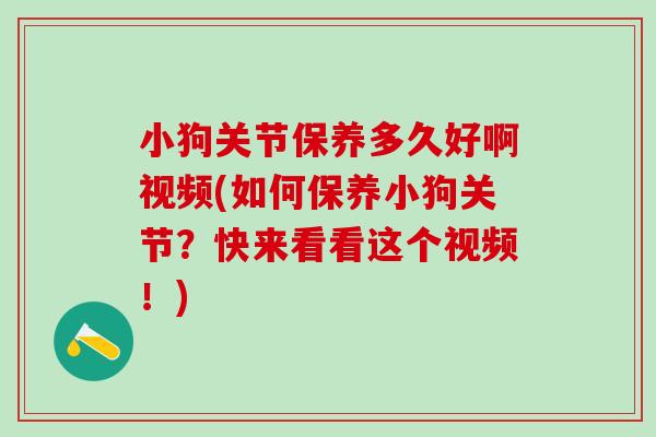 小狗关节保养多久好啊视频(如何保养小狗关节？快来看看这个视频！)