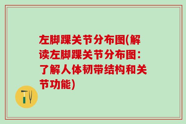 左脚踝关节分布图(解读左脚踝关节分布图：了解人体韧带结构和关节功能)