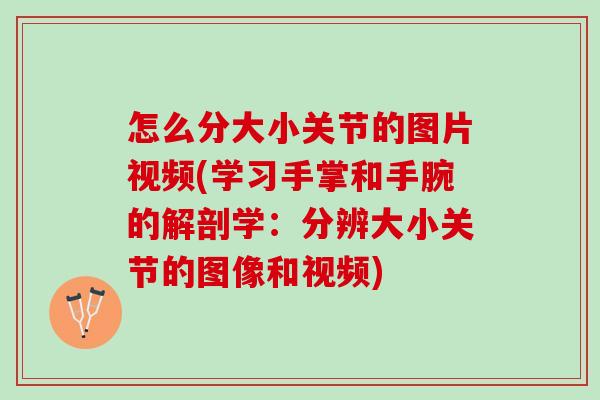 怎么分大小关节的图片视频(学习手掌和手腕的解剖学：分辨大小关节的图像和视频)