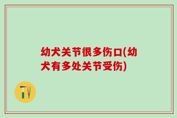 幼犬关节很多伤口(幼犬有多处关节受伤)