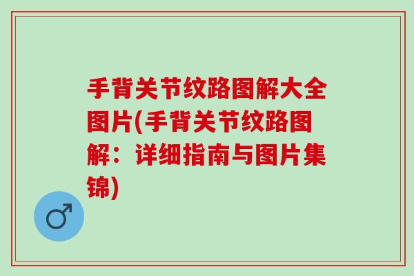 手背关节纹路图解大全图片(手背关节纹路图解：详细指南与图片集锦)