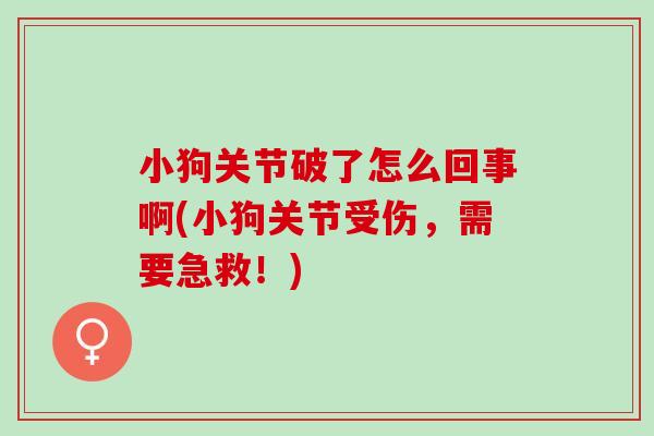小狗关节破了怎么回事啊(小狗关节受伤，需要急救！)