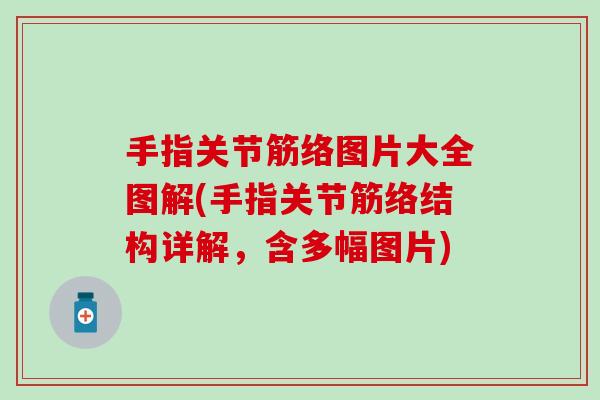 手指关节筋络图片大全图解(手指关节筋络结构详解，含多幅图片)