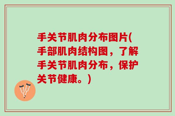 手关节肌肉分布图片(手部肌肉结构图，了解手关节肌肉分布，保护关节健康。)