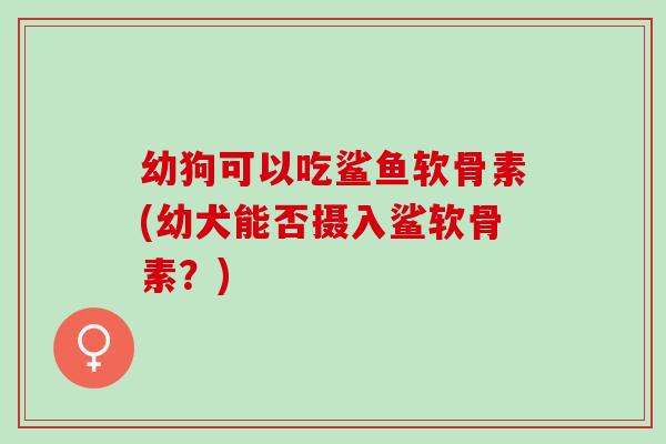 幼狗可以吃鲨鱼软骨素(幼犬能否摄入鲨软骨素？)