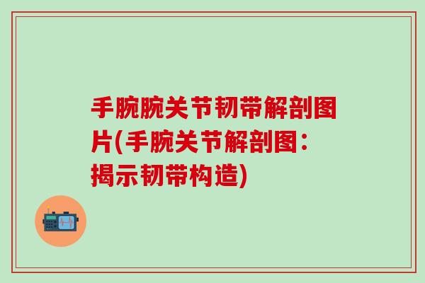 手腕腕关节韧带解剖图片(手腕关节解剖图：揭示韧带构造)