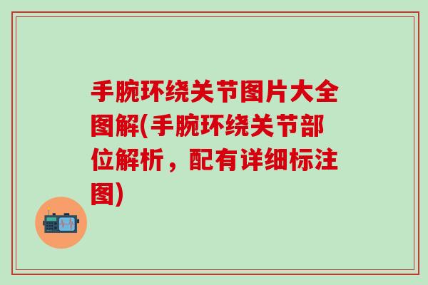 手腕环绕关节图片大全图解(手腕环绕关节部位解析，配有详细标注图)