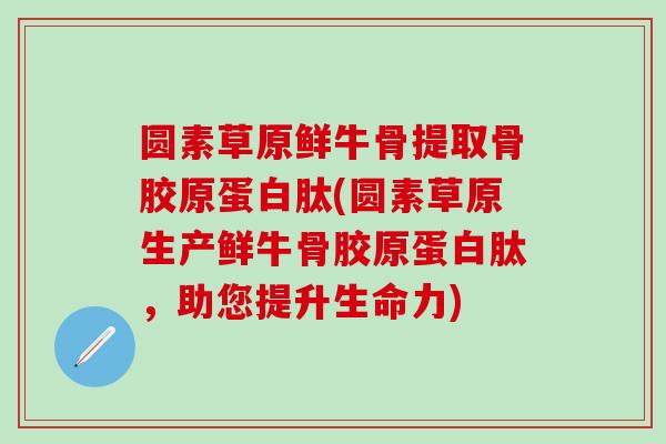 圆素草原鲜牛骨提取骨胶原蛋白肽(圆素草原生产鲜牛骨胶原蛋白肽，助您提升生命力)