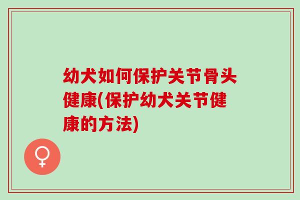 幼犬如何保护关节骨头健康(保护幼犬关节健康的方法)