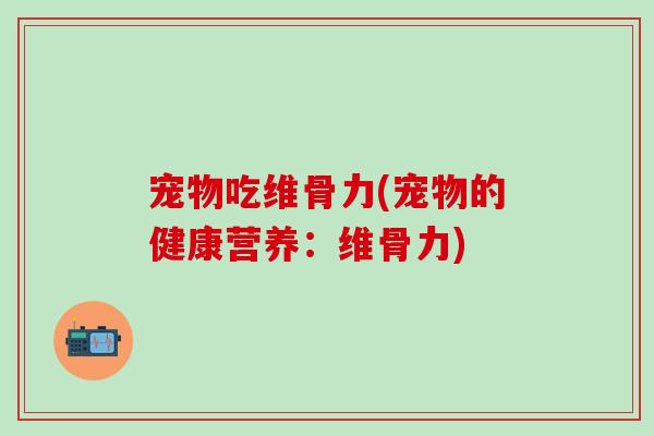 宠物吃维骨力(宠物的健康营养：维骨力)