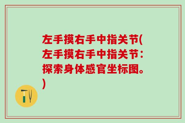 左手摸右手中指关节(左手摸右手中指关节：探索身体感官坐标图。)