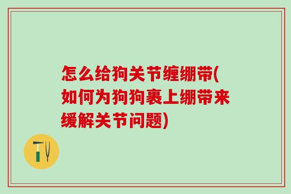 怎么给狗关节缠绷带(如何为狗狗裹上绷带来缓解关节问题)