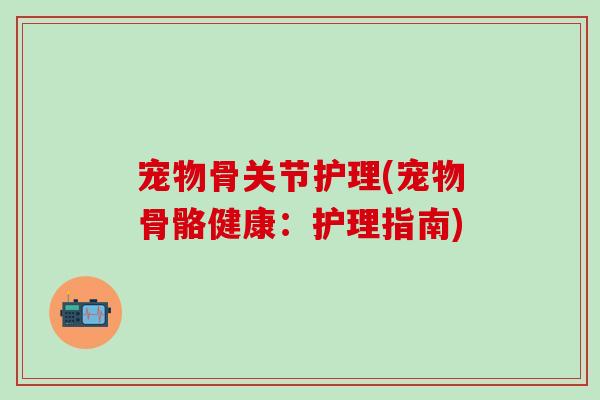 宠物骨关节护理(宠物骨骼健康：护理指南)