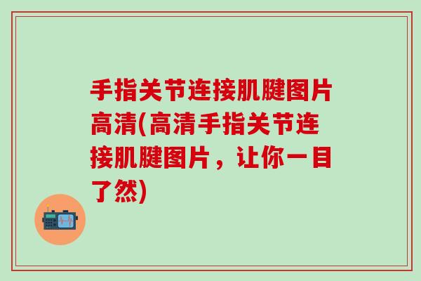 手指关节连接肌腱图片高清(高清手指关节连接肌腱图片，让你一目了然)