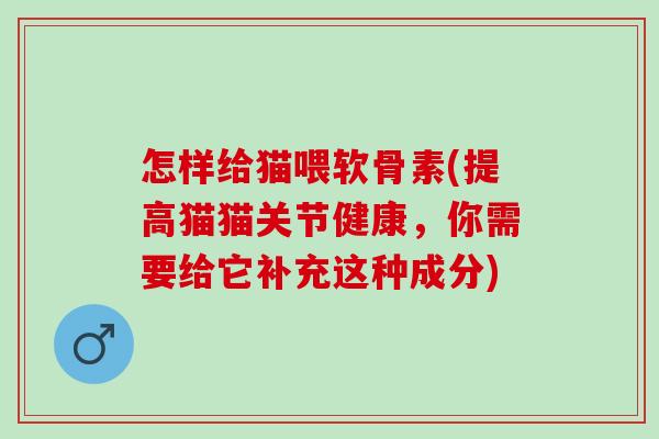 怎样给猫喂软骨素(提高猫猫关节健康，你需要给它补充这种成分)