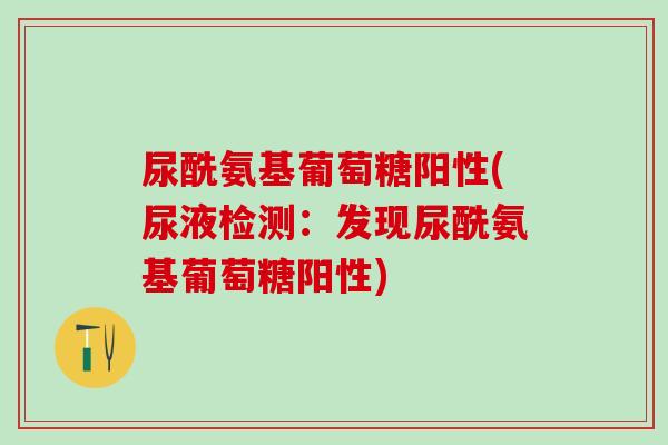 尿酰氨基葡萄糖阳性(尿液检测：发现尿酰氨基葡萄糖阳性)