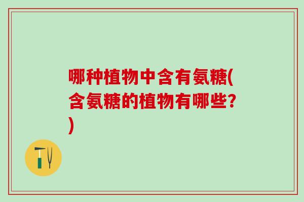 哪种植物中含有氨糖(含氨糖的植物有哪些？)