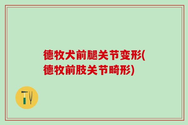 德牧犬前腿关节变形(德牧前肢关节畸形)