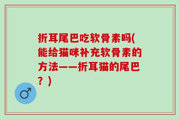 折耳尾巴吃软骨素吗(能给猫咪补充软骨素的方法——折耳猫的尾巴？)