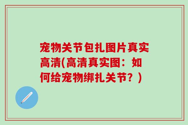宠物关节包扎图片真实高清(高清真实图：如何给宠物绑扎关节？)