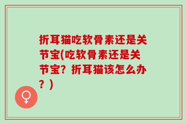 折耳猫吃软骨素还是关节宝(吃软骨素还是关节宝？折耳猫该怎么办？)
