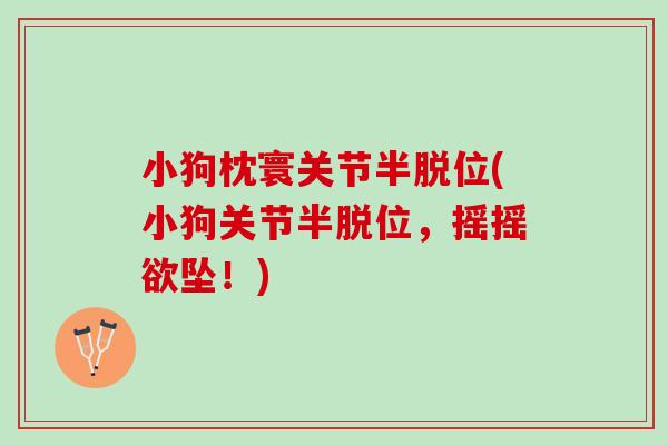 小狗枕寰关节半脱位(小狗关节半脱位，摇摇欲坠！)