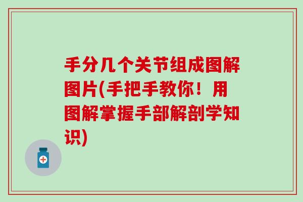 手分几个关节组成图解图片(手把手教你！用图解掌握手部解剖学知识)