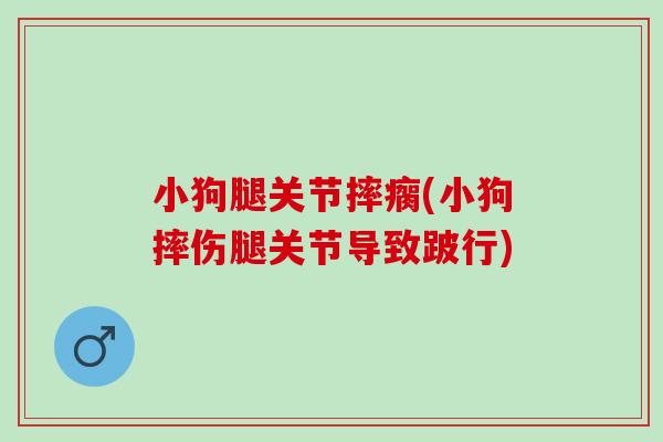 小狗腿关节摔瘸(小狗摔伤腿关节导致跛行)