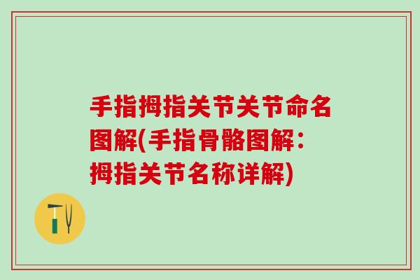 手指拇指关节关节命名图解(手指骨骼图解：拇指关节名称详解)