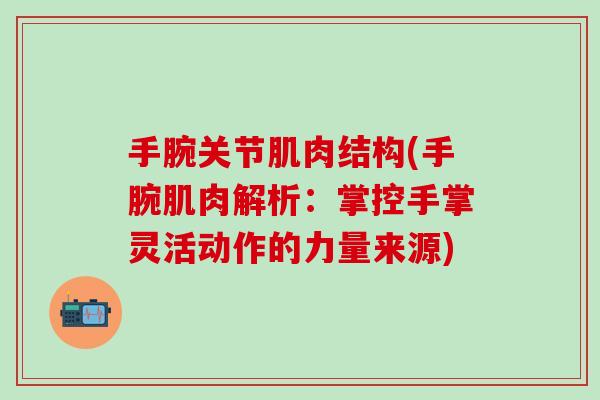 手腕关节肌肉结构(手腕肌肉解析：掌控手掌灵活动作的力量来源)