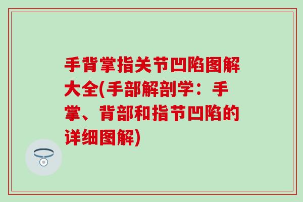手背掌指关节凹陷图解大全(手部解剖学：手掌、背部和指节凹陷的详细图解)