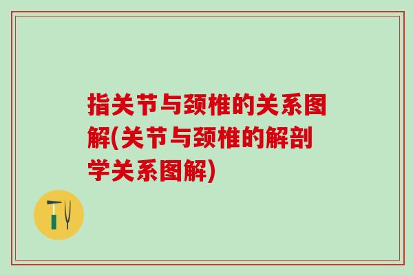 指关节与颈椎的关系图解(关节与颈椎的解剖学关系图解)
