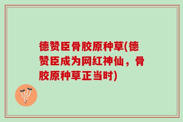 德赞臣骨胶原种草(德赞臣成为网红神仙，骨胶原种草正当时)