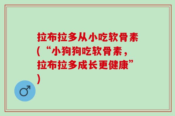 拉布拉多从小吃软骨素(“小狗狗吃软骨素，拉布拉多成长更健康”)