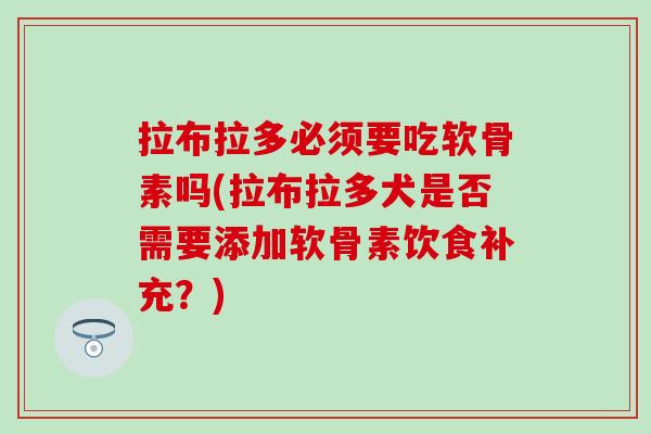 拉布拉多必须要吃软骨素吗(拉布拉多犬是否需要添加软骨素饮食补充？)