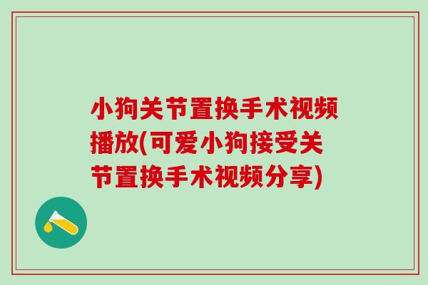 小狗关节置换手术视频播放(可爱小狗接受关节置换手术视频分享)