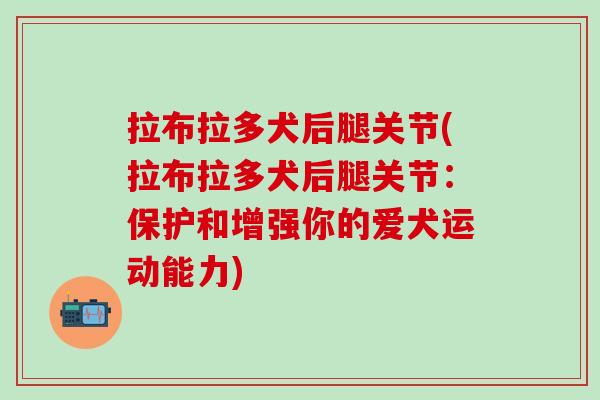 拉布拉多犬后腿关节(拉布拉多犬后腿关节：保护和增强你的爱犬运动能力)
