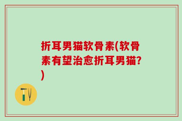 折耳男猫软骨素(软骨素有望治愈折耳男猫？)